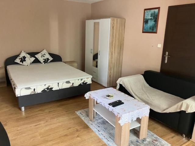 Apartmanovy Dom Slavia Apartment Бойнице Екстериор снимка